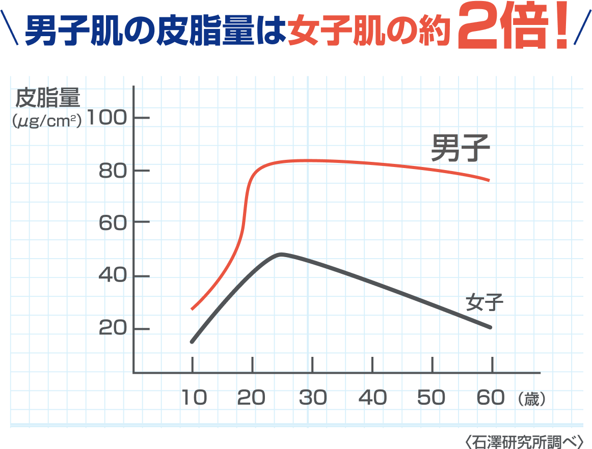 男子肌の皮脂量は女子肌の約2倍！