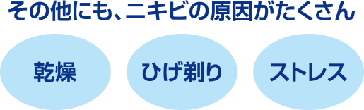 その他にも、ニキビの原因がたくさん　乾燥　ひげ剃り　ストレス