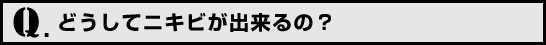 Q.どうしてニキビが出来るの？