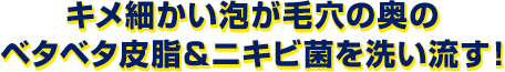 キメの細かい泡が毛穴の奥のベタベタ皮脂＆ニキビ菌を洗い流す