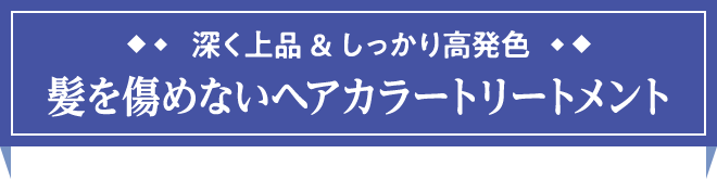 深く上品&しっかり高発色　髪を傷めないヘアカラートリートメント