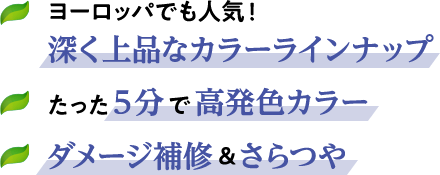 ヨーロッパでも人気!深く上品なカラーラインナップ たった5分で高発色カラー ダメージ補修&さらつや