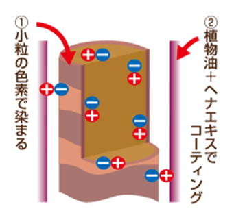 ①小粒の色素で染まる ②植物油+ヘナエキスでコーティング