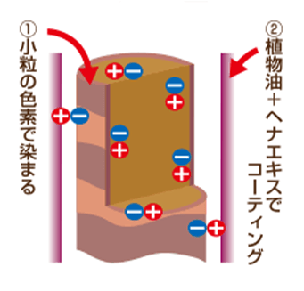 ①小粒の色素で染まる　②植物油＋ヘナエキスでコーティング