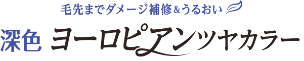 毛先までダメージ補修&うるおい　深色　ヨーロピアンツヤカラー