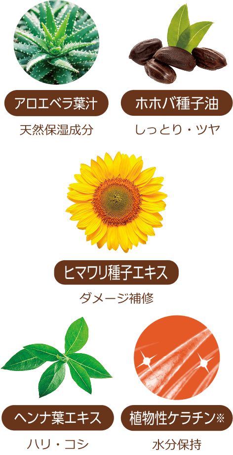 アロエベラ葉汁 天然保湿成分 ホホバ種子油 しっとり・ツヤ ヒマワリ種子エキス ダメージ補修 ヘンナ葉エキス ハリ・コシ 植物性ケラチン※ 水分保持