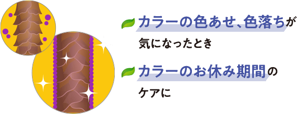 カラーの色あせ、色落ちが気になったとき カラーのお休み期間のケアに