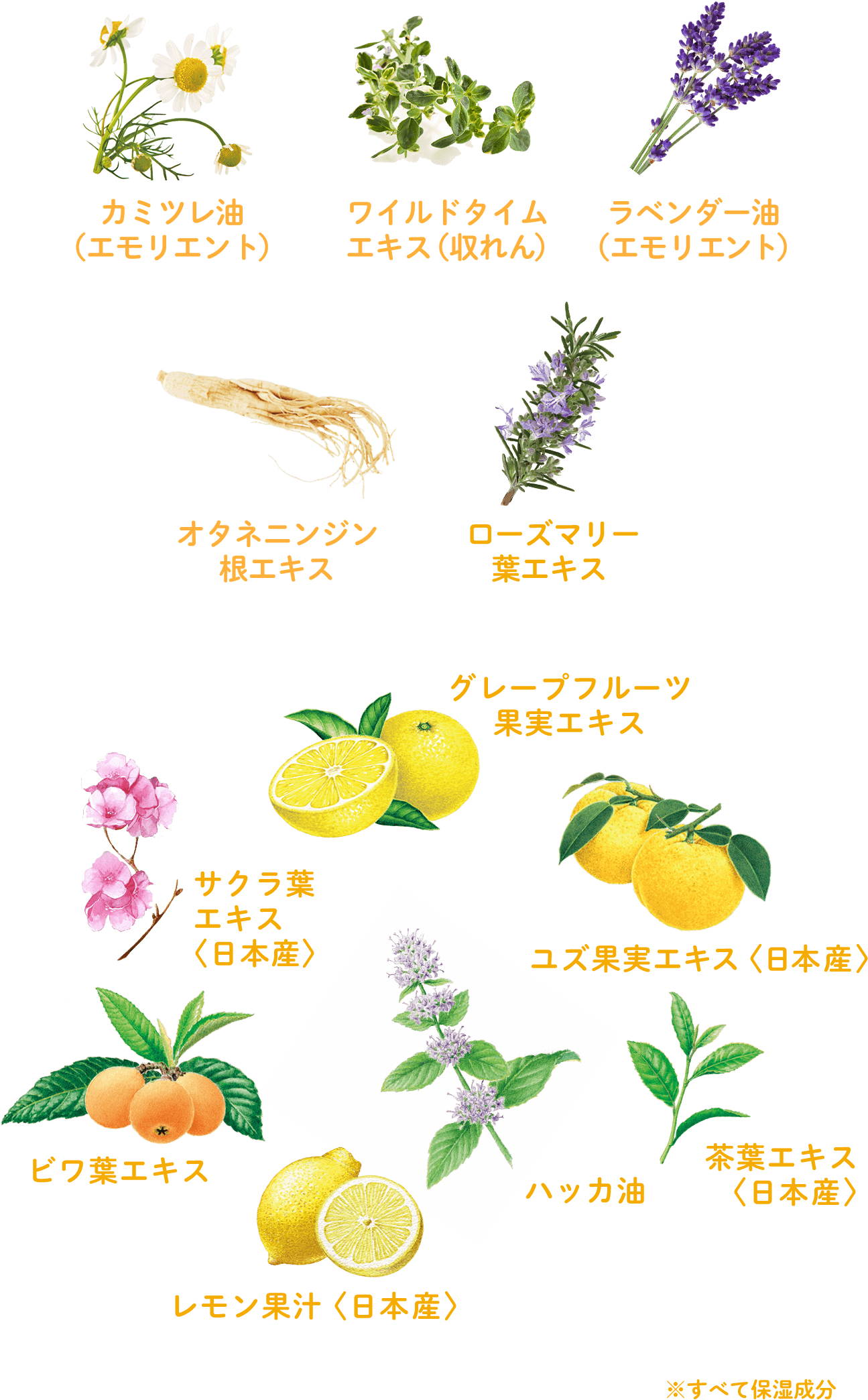 配合されている植物成分：カミツレ油（エモリエント）、ワイルドタイムエキス（収れん）、ラベンダー油（エモリエント）、オタネニンジン根エキス、ローズマリー葉エキス、グレープフルーツ果実エキス、サクラ葉エキス（日本産）、ユズ果実エキス（日本産）、ビワ葉エキス、ハッカ油、レモン果汁（日本産）、茶葉エキス（日本産）※すべて保湿成分