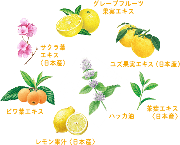 サクラ葉エキス〈日本産〉・グレープフルーツ果実エキス・ユズ果実エキス〈日本産〉・ビワ葉エキス・ハッカ油・レモン果汁〈日本産〉・茶葉エキス〈日本産〉