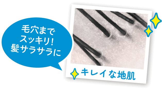 キレイな地肌 毛穴までスッキリ！髪サラサラに