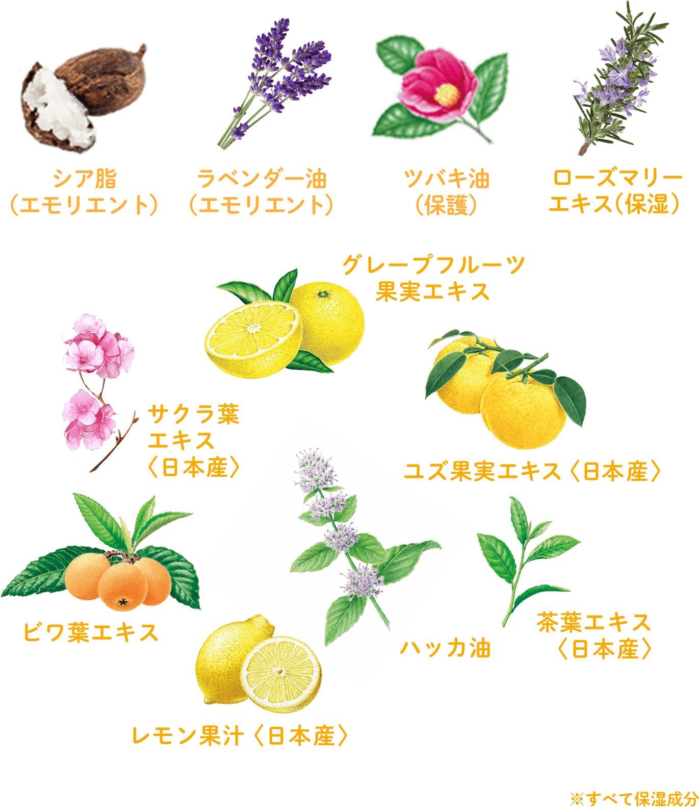植物生まれのオレンジ果汁トリートメントN｜ヘアトリートメント｜髪