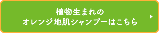 植物生まれのオレンジ地肌シャンプーはこちら