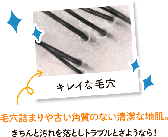 きれいな毛穴 毛穴詰まりや古い角質のない清潔な地肌。きちんと汚れを落としトラブルとさようなら！