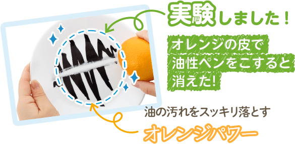 実験しました！ オレンジの皮で油性ペンをこすると消えた！ 油の汚れをスッキリ落とす オレンジパワー