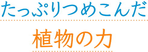 たっぷりつめこんだ 植物の力