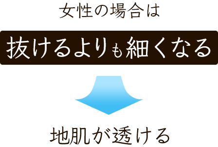 女性の場合は抜けるよりも細くなる→地肌が透ける