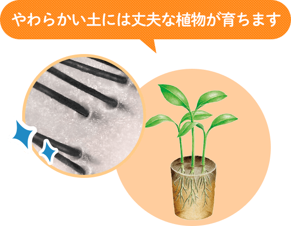 やわらかい土には丈夫な植物が育ちます