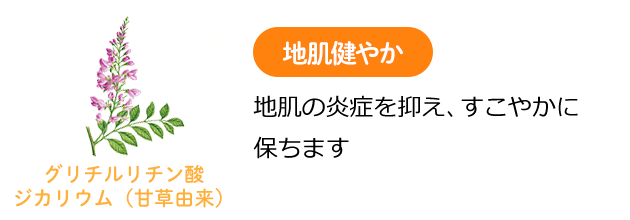 グリチルリチン酸ジカリウム（甘草由来） 地肌健やか 地肌の炎症を抑え、すこやかに保ちます