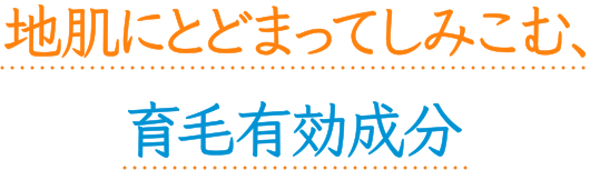 地肌やわらか柑橘成分配合