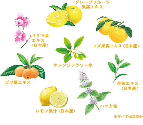 グレープフルーツ果実エキス(保湿・収れん)/ ビワ葉エキス(保湿)/ ハッカ油(エモリエント・清涼)/【国産】ユズ果実エキス(保湿)/ オレンジフラワー水(保湿・収れん)/【国産】レモン果汁(保湿・収れん)/【国産】サクラ葉エキス(整肌成分)