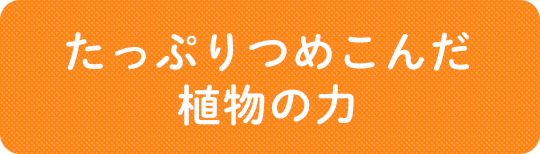 たっぷりつめこんだ植物の力