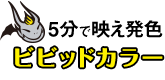 5分で染まるビビッドカラー