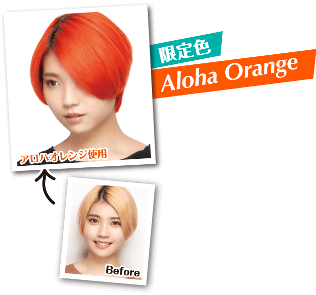 クイスクイス デビルズトリック 石澤研究所 公式サイト