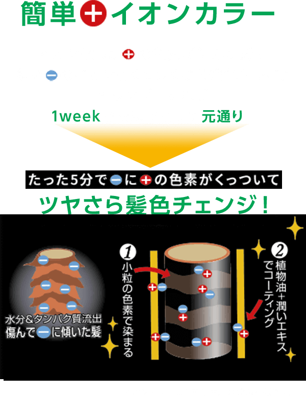 簡単プラスイオンカラー イオン化したプラスの色素が傷んだ髪に多いマイナスのイオンとくっつくから発色キレイ♪ シャンプーすれば1weekで魔法がとけて元通り! たった5分でマイナスにプラスの色素がくっついてツヤさら髪色チェンジ!