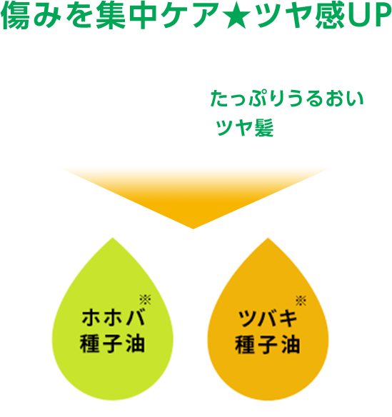 傷みを集中ケア★ツヤ感UP 髪のカラーがキマってもパサパサヘアーのままなんてNG!髪にたっぷりうるおい満タン。驚きのツヤ髪に! ホホバ趣旨油 ツバキ種子油 ※保湿成分