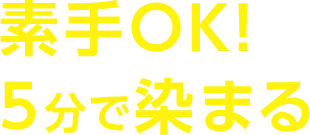 素手OK! 5分で染まる