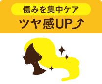 ツヤ感UP 傷みを集中ケア