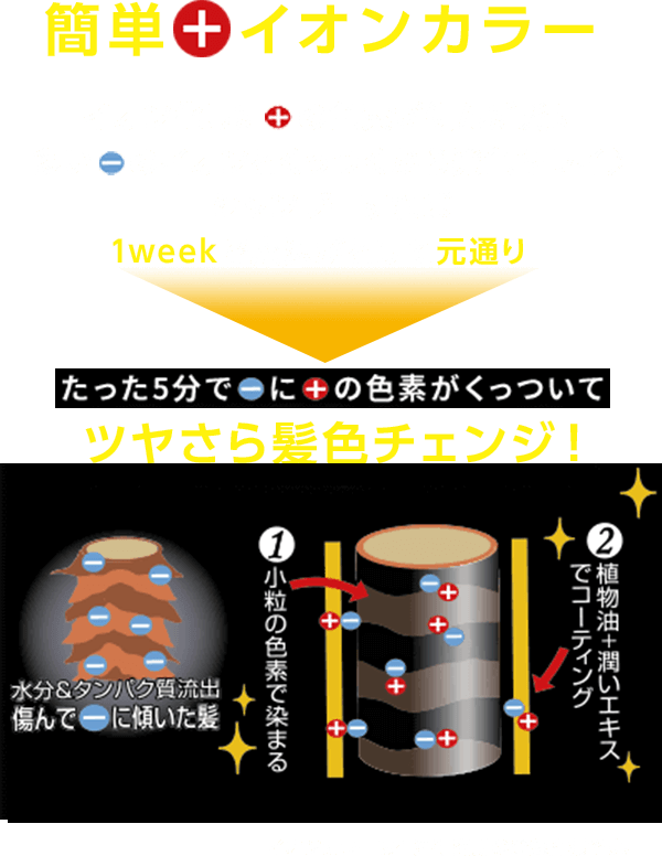 簡単プラスイオンカラー イオン化したプラスの色素が傷んだ髪に多いマイナスのイオンとくっつくから発色キレイ♪ シャンプーすれば1weekで魔法がとけて元通り! たった5分でマイナスにプラスの色素がくっついてツヤさら髪色チェンジ!