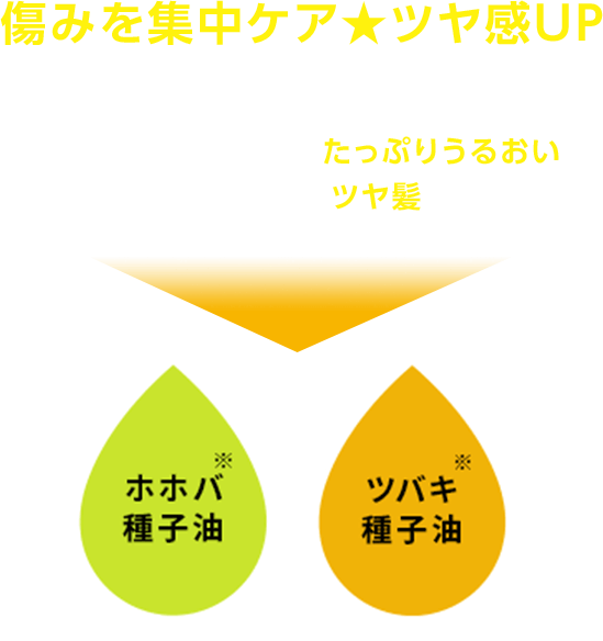 傷みを集中ケア★ツヤ感UP 髪のカラーがキマってもパサパサヘアーのままなんてNG!髪にたっぷりうるおい満タン。驚きのツヤ髪に! ホホバ趣旨油 ツバキ種子油 ※保湿成分