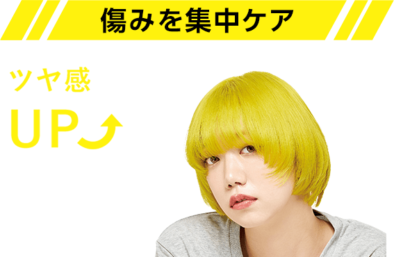 傷みを集中ケア ツヤ感UP