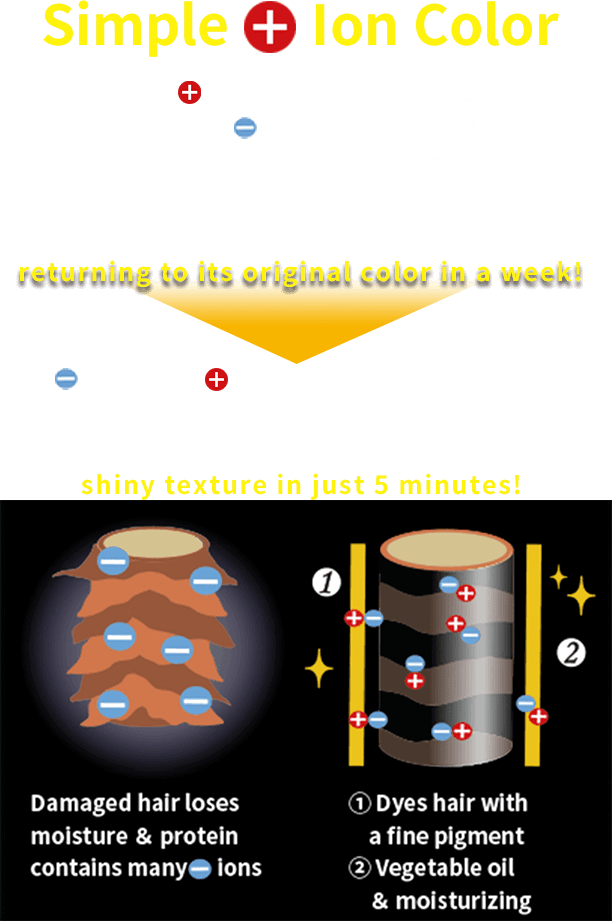 Simple Ion Color  The ion pigment attaches to theions in damages hair to make rich colors♪ Shampoo your hair and the magic will gradually fade, returning to its original color in a week! ions and ion pigment attach toeach other to color your hair and give it a smooth, shiny texture in just 5 minutes!