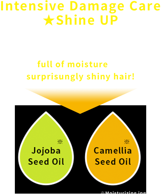Intensive Damage Care ★Shine UP Vividly colored, but damaged hair is less attractive! Gives a full of moisture and makes surprisungly shiny hair! Jojoba Seed Oil Camellia Seed Oil ※Moisturizing ingredients