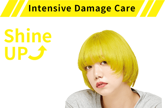 Intensive Damage Care Shine up
