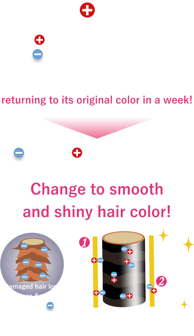 Simple + lon Color The + ion pigment attaches to the many ions in damages hair to make rich colors Shampoo your hair and the magic will gradually fade, returning to its original color in a week! ions and + ion pigment attach to each other to color your hair and give it a smooth, Change to smooth and shiny hair color! Damaged hair loses moisture & protein contains many ions Dyes hair with a fine pigment Vegetable oil & moisturizing