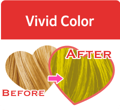 Vivid Color