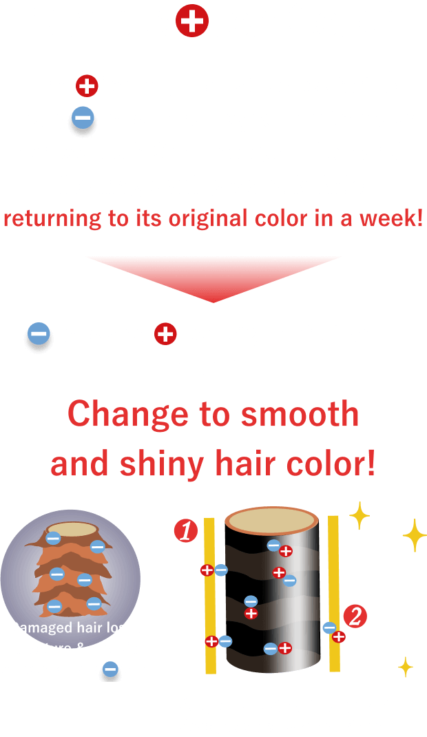 Simple Ion Color The     ion pigment attaches to the many     ions in damages hair  to make rich colors♪ Shampoo your hair and  the magic will gradually fade, returning to its original color in a week! 　ions and ion pigment attach to each other to color your hair and give it a smooth,Change to smooth and shiny hair color!
