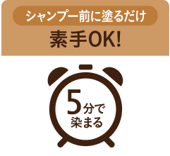 シャンプー前に塗るだけ 素手OK！