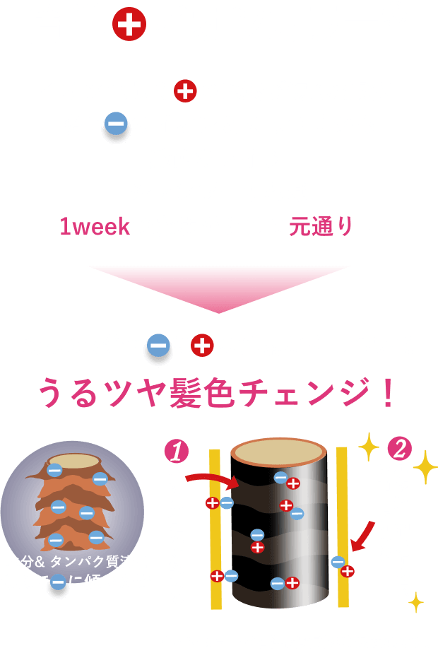 簡単+イオンカラー®︎ イオン化した　の色素が傷んだ髪に多い　のイオンとくっつくから発色キレイ♪シャンプーすれば1weekで魔法がとけて元通り！