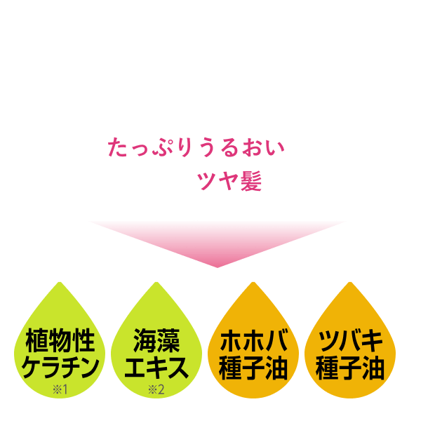 傷みを集中ケア★ツヤ感UP 髪のカラーがキマってもパサパサヘアーの ままなんてNG!髪にたっぷりうるおい 満タン。驚きのツヤ髪に！