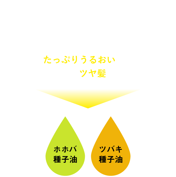 痛みを集中ケア★ツヤ感UP 髪のカラーがキマってもパサパサヘアーのままなんてNG!髪にたっぷりうるおい満タン。驚きのツヤ髪に！