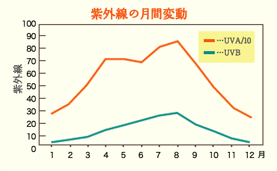 紫外線量の月間変動
石澤研究所　公式サイト