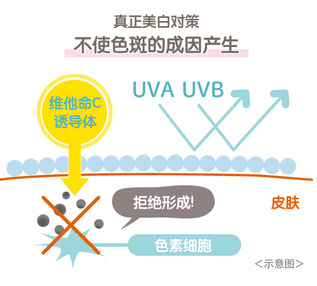 让色斑无法产生 美白UV护理