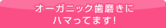 オーガニック歯磨きにハマってます!