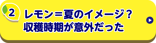 レモン＝夏のイメージ？収穫時期が意外だった