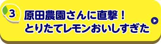 原田農園さんに直撃！とりたてレモンおいしすぎた