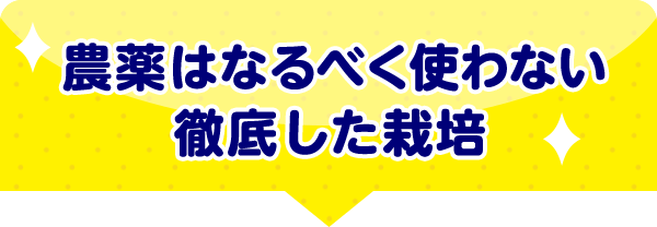 農薬はなるべく使わない徹底した栽培